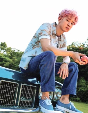 朴灿烈kokobop写真：朴灿烈kokobop手机壁纸