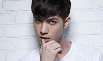 任言恺为什么不红:任言恺的上身怎么了 任言恺为什么不红:任言恺的上身怎么了