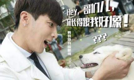 高瀚宇的鼻子太假了：高瀚宇演过的电视剧