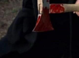 董震就是呼兰大侠：董震事件详细介绍