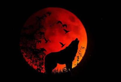 血月亮有什么预兆:血月出现三年内有灾是真的吗 血月亮有什么预兆:血月出现三年内有灾是真的吗