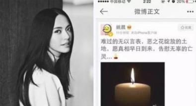 姚晨为什么叫恶之花:姚晨最近怎么不出来了 姚晨为什么叫恶之花:姚晨最近怎么不出来了