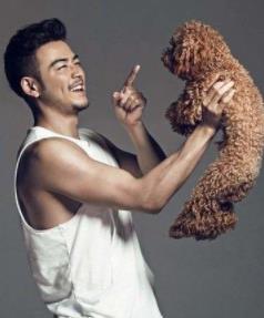 雅痞是什么意思：十大最雅痞的明星