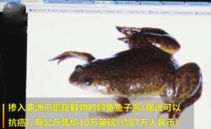 亿万富翁奢侈生活美食你见过吗，奢靡到你都想不到