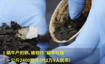 亿万富翁奢侈生活美食你见过吗，奢靡到你都想不到