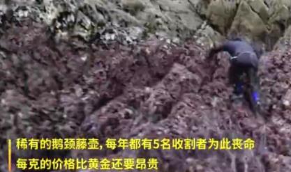 亿万富翁奢侈生活美食你见过吗，奢靡到你都想不到