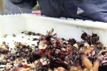 亿万富翁奢侈生活美食你见过吗，奢靡到你都想不到