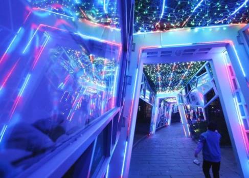 上海不打烊公园开放：休闲约会健身赏景齐聚都不耽误