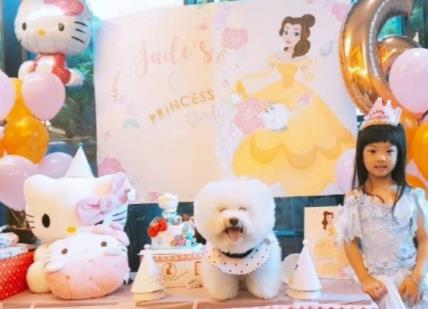 蔡依林为侄女庆生：冒牌狗狗蛋糕你想要哪一个