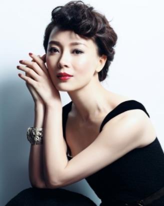 陈数赵胤胤怎么认识的:陈数演的电视剧 陈数赵胤胤怎么认识的:陈数演的电视剧