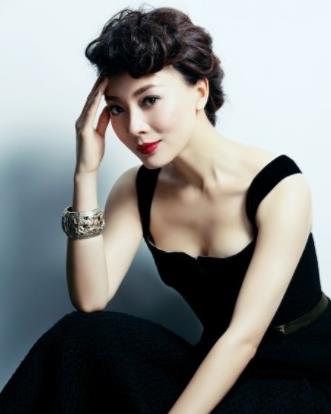 陈数赵胤胤怎么认识的:陈数演的电视剧 陈数赵胤胤怎么认识的:陈数演的电视剧