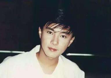 张卫健头发是脱了吗:张卫健为什么打王伯昭 张卫健头发是脱了吗:张卫健为什么打王伯昭