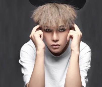 刘维是王祖蓝的艺人:王祖蓝旗下艺人有哪些 刘维是王祖蓝的艺人:王祖蓝旗下艺人有哪些