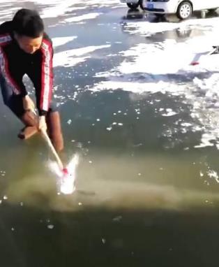 百斤大鱼冰封江面：夫妻齐心凿冰挖鱼