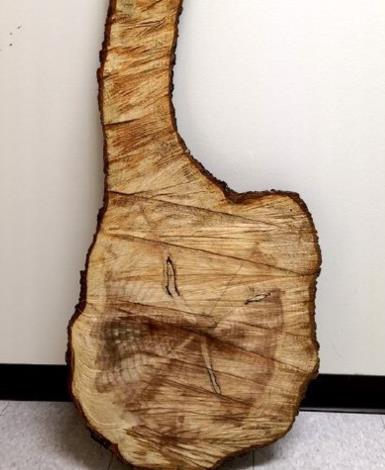 为什么加拿大民众致歉中国:加拿大公民怎么得罪中国了 为什么加拿大民众致歉中国:加拿大公民怎么得罪中国了