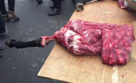 聪明商贩挂驴腿卖猪肉：神一般的接骨缝皮术