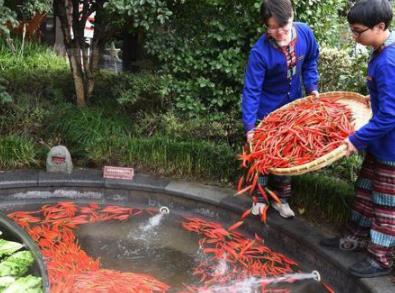 杭州巨型鸳鸯火锅温泉:边吃边泡双重体验妙不可言 杭州巨型鸳鸯火锅温泉:边吃边泡双重体验妙不可言
