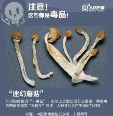 警惕新型毒品邮票:接触就可吸收毒性可致残 警惕新型毒品邮票:接触就可吸收毒性可致残