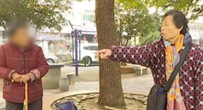 借出305万后去世：儿子借出305万过世母亲讨债遭拒