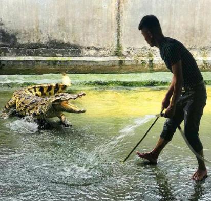帅哥直播铲屎成网红:看到他居然给这家伙铲屎我惊呆了 帅哥直播铲屎成网红:看到他居然给这家伙铲屎我惊呆了