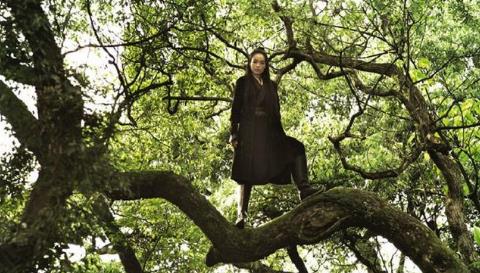 张震确定出演沙丘,两大男神张震与小甜茶将同框 张震确定出演沙丘,两大男神张震与小甜茶将同框