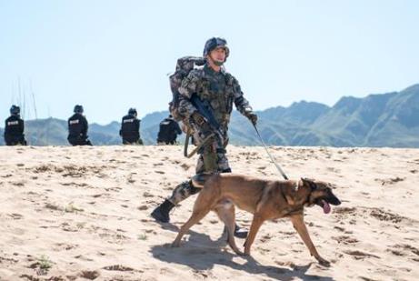 杨烁索要天价片酬导致剧组停工,这究竟是怎么回事 杨烁索要天价片酬导致剧组停工,这究竟是怎么回事