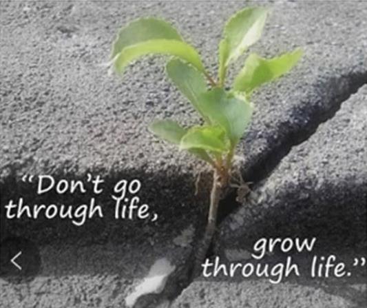 郑秀文原谅许志文出轨后,郑秀文再发文吐露心声 郑秀文原谅许志文出轨后,郑秀文再发文吐露心声