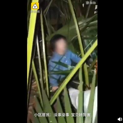 4岁双胞胎17楼坠落皆生还,还好没事家长长点心吧 ? 4岁双胞胎17楼坠落皆生还,还好没事家长长点心吧 ?