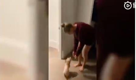 比伯晒婚后生活,海莉露大长腿,夫妻生活甜死人 比伯晒婚后生活,海莉露大长腿,夫妻生活甜死人