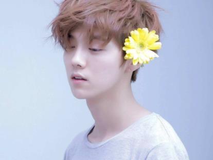 鹿晗和允儿结婚照片曝光:鹿晗承认喜欢允儿