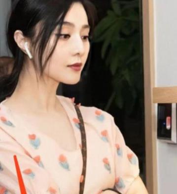 范冰冰老公是谁现在，范冰冰为什么不能复出娱乐圈了