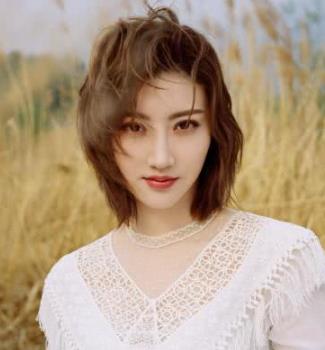 景甜认证那英司藤东北分藤，景甜的家世如何