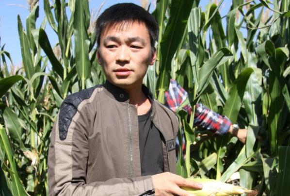 王宝强为啥能成功,王宝强真实年龄