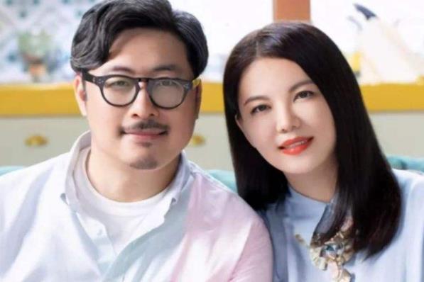 王岳伦李湘怎么认识的,王岳伦李湘婚变是真的吗