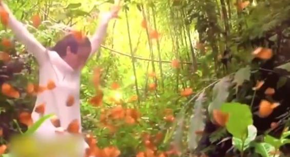 杨丽萍云南蝴蝶跳舞,杨丽萍和萨顶顶的关系 杨丽萍云南蝴蝶跳舞,杨丽萍和萨顶顶的关系