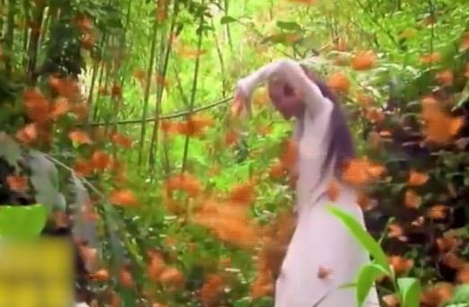 杨丽萍云南蝴蝶跳舞,杨丽萍和萨顶顶的关系 杨丽萍云南蝴蝶跳舞,杨丽萍和萨顶顶的关系