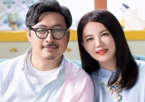 王岳伦李湘婚变原因,王岳伦和李湘什么时候结婚