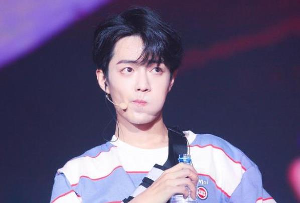 肖战在娱乐圈中的地位,肖战是什么团的成员