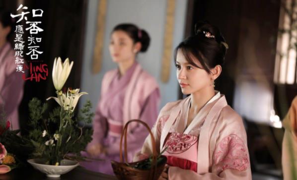 知否知否应是绿肥红瘦墨兰结局怎样,知否知否应是绿肥红瘦墨兰扮演者 知否知否应是绿肥红瘦墨兰结局怎样,知否知否应是绿肥红瘦墨兰扮演者