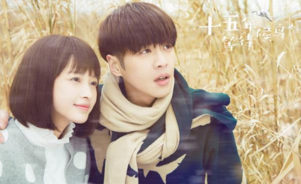 十五年等待候鸟结局什么意思,十五年等待候鸟下架了吗 十五年等待候鸟结局什么意思,十五年等待候鸟下架了吗