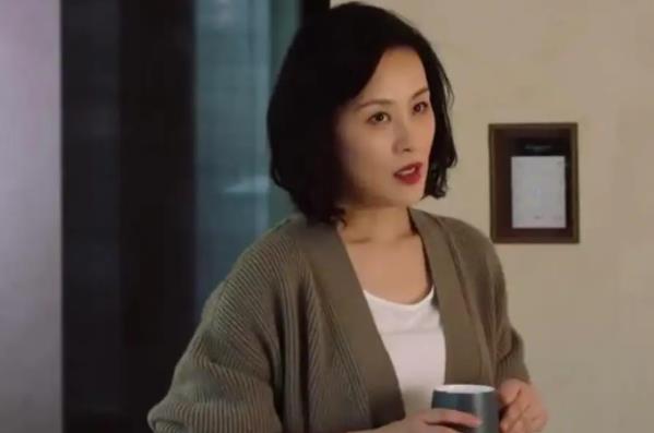 完美伴侣白梅结局,完美伴侣白梅谁演的