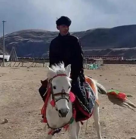 丁真的小马珍珠跑第一了,丁真是什么民族 丁真的小马珍珠跑第一了,丁真是什么民族