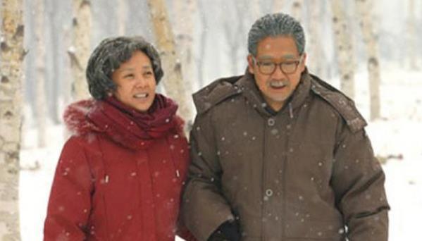 金婚发生的大结局剧情,金婚结局之中李天骄