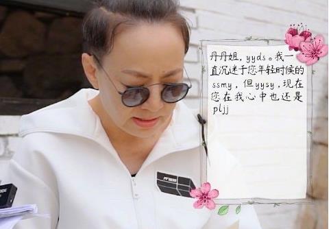 宋丹丹读出来丫丫ds，宋丹丹拍的有钱电影叫啥