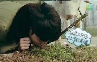 张艺兴问女主持人你能喝冰的吗,张艺兴吃草是哪一期 张艺兴问女主持人你能喝冰的吗,张艺兴吃草是哪一期