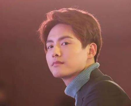 马天宇的妻子是谁，马天宇演的贾宝玉是什么电视剧