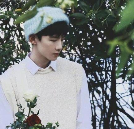 白敬亭说我这辈子都没这么无语过,白敬亭演的陆之昂是哪个电视剧 白敬亭说我这辈子都没这么无语过,白敬亭演的陆之昂是哪个电视剧