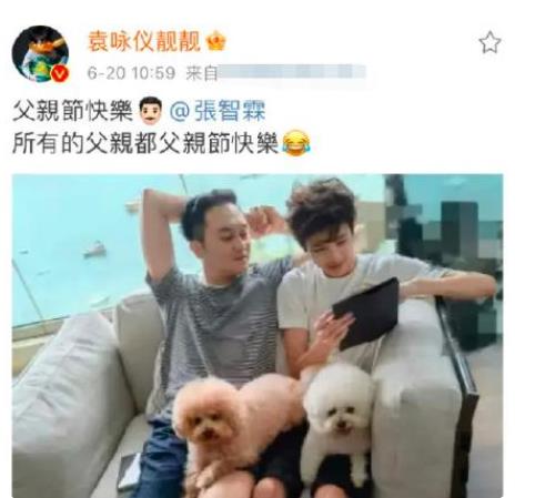 张智霖袁咏仪儿子的腿，张智霖袁咏仪上快本是哪一期