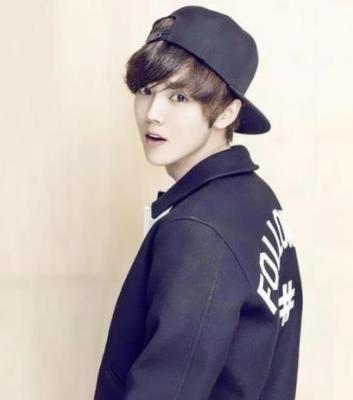 鹿晗妈妈家是谁,鹿晗主演的盗墓笔记电影叫什么名字 鹿晗妈妈家是谁,鹿晗主演的盗墓笔记电影叫什么名字