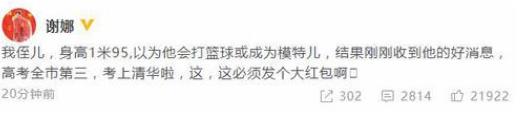 谢娜侄子回应考上清华的事情，孙俪陈坤谢娜演的电视剧